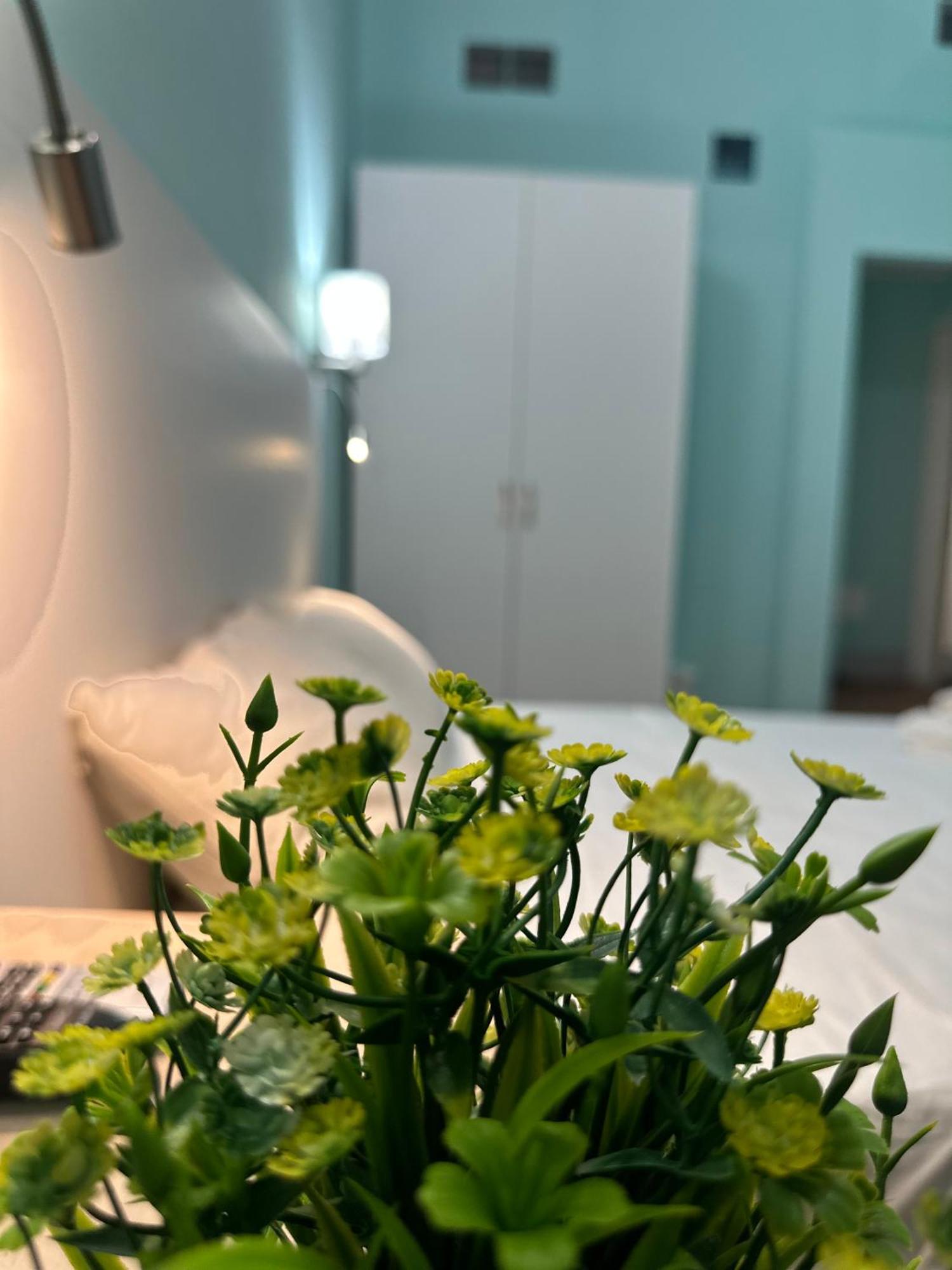 B&B - Residenza D'Epoca Piazza Cairoli Пиза Екстериор снимка